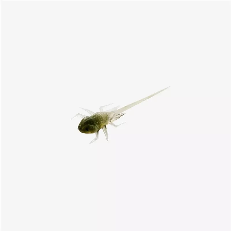 13 Fishing Bernie Finesse Panfish Plastics Greenhead Qty 6