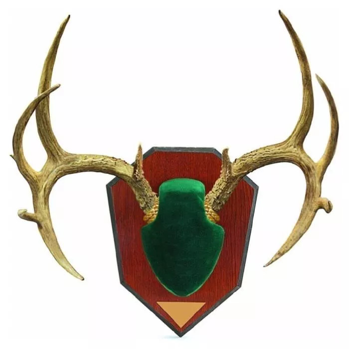 Allen Antler Mounting Kit - Green