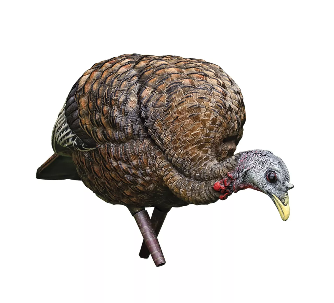 Avian LCD Feeder Hen