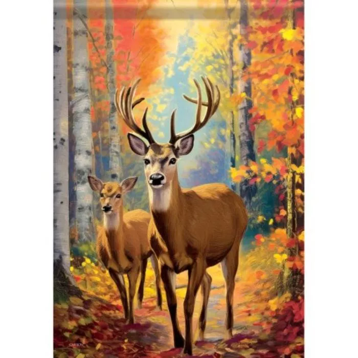 Carson Home Accents Large Flag - 28" x 40"