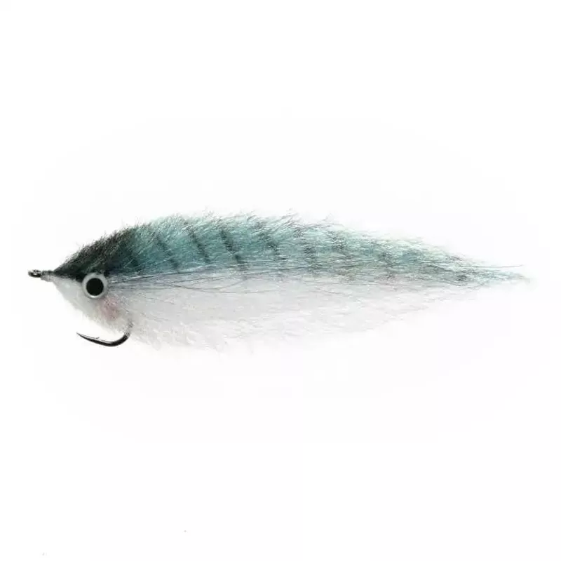EP Mackerel