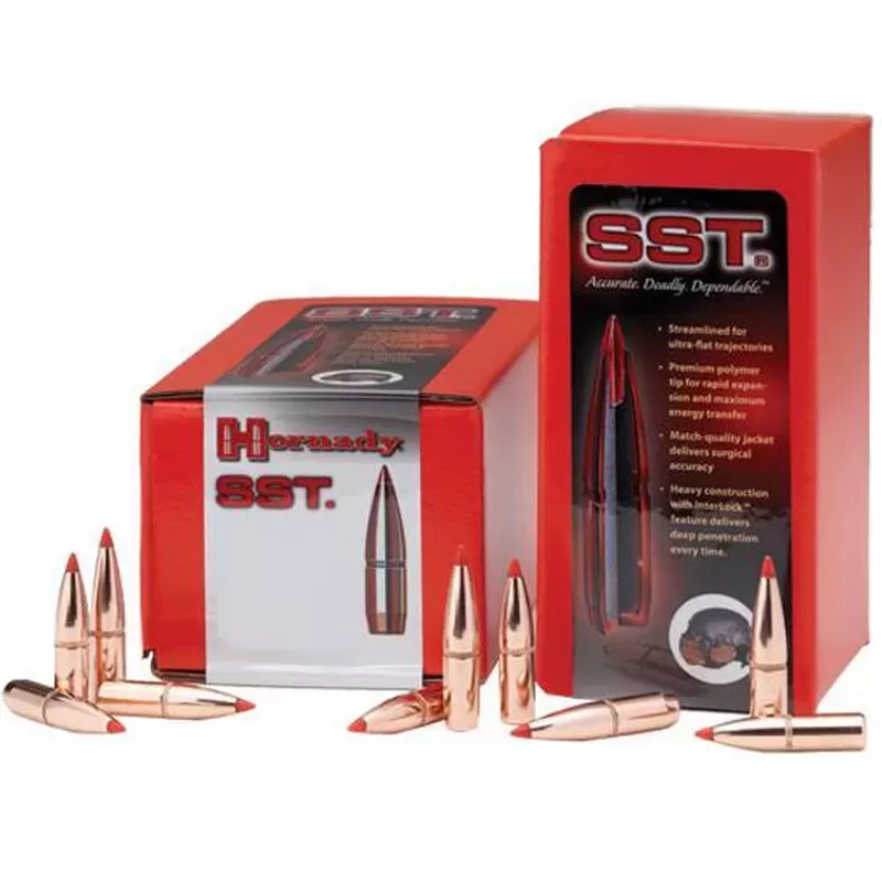 Hornady 6mm .243 95 gr SST