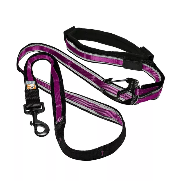 Kurgo Quantum 6-in-1 Leash