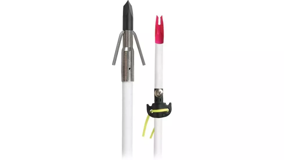 MUZZY IMPALE A SCALE CLASSIC FISH ARROW