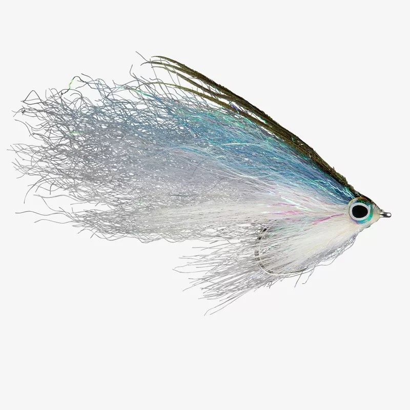 Rio Student Loan Herring