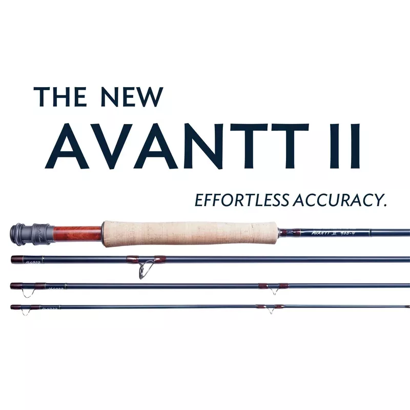 Thomas & Thomas Avantt II