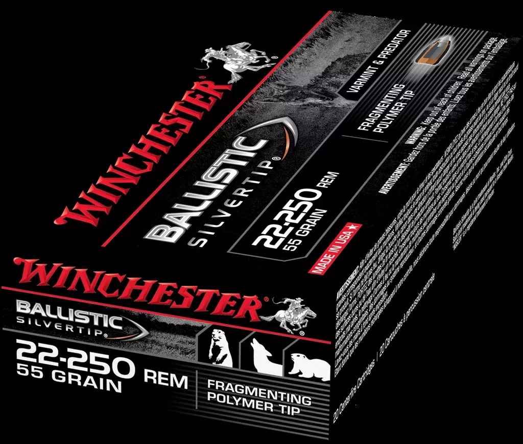 Winchester Ballistic SilverTip 22-250 55 GR