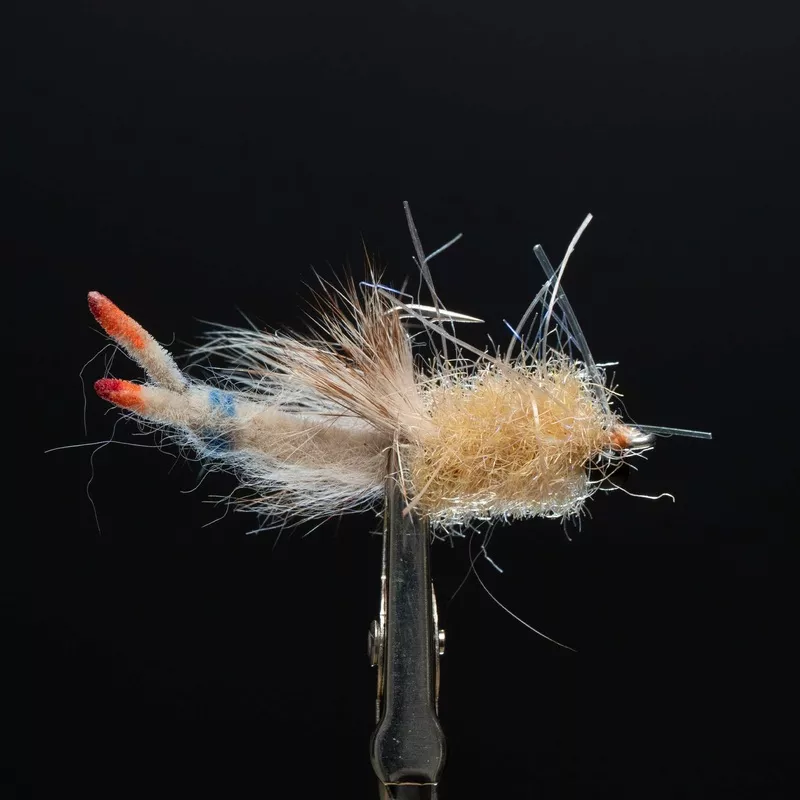 Zippy Flies Armed Critter Black